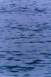 Image du Maroc Professionnelle de  Les vagues à la surface des mers (niveau zéro) sont créées par le vent, les ondulations formées sont une des représentation de la continuité de la vie qui ne connaît aucun repos. Photo prise au port de Laayoune, le 21 Septembre 2001. (Photo / Abdeljalil Bounhar)